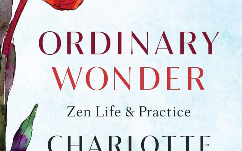 Charlotte Joko Beck, Odinary Wonder